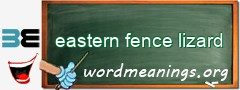 WordMeaning blackboard for eastern fence lizard